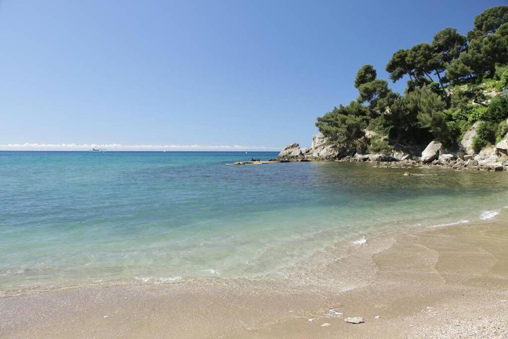 Appartement T2 Rez De Villa Proche Bord De Mer Le Pradet Zewnętrze zdjęcie